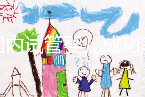 “國內(nèi)試管嬰兒成功率不比國外差” 對話輔助生殖專家:胚胎培養(yǎng)是概率提升關鍵