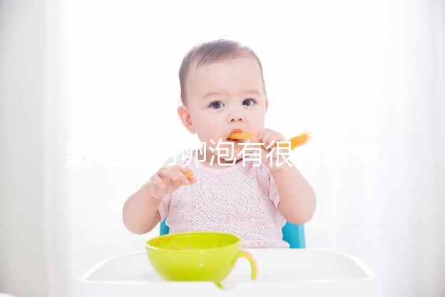 熟地黃對卵泡有很大的作用和作用能否改善性功能？