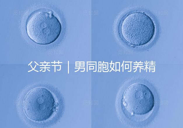 父親節｜男同胞如何養精蓄銳，一發即中？