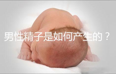 男性精子是如何產生的？