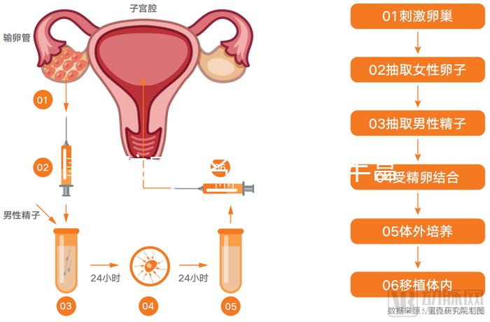 男孩屬馬名字大全，豐富選擇不重樣