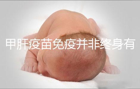 甲肝疫苗免疫并非終身有效，滅活類型抗體持續時間更久