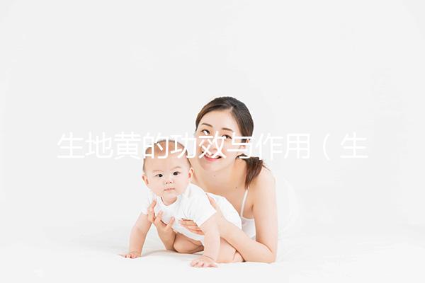 生地黃的功效與作用(生地黃是傷腎還是補腎)