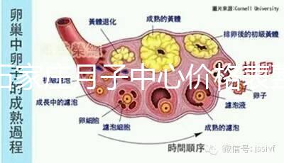 石家莊月子中心價(jià)格表整理，長(zhǎng)安最貴最好的一家原來(lái)是它
