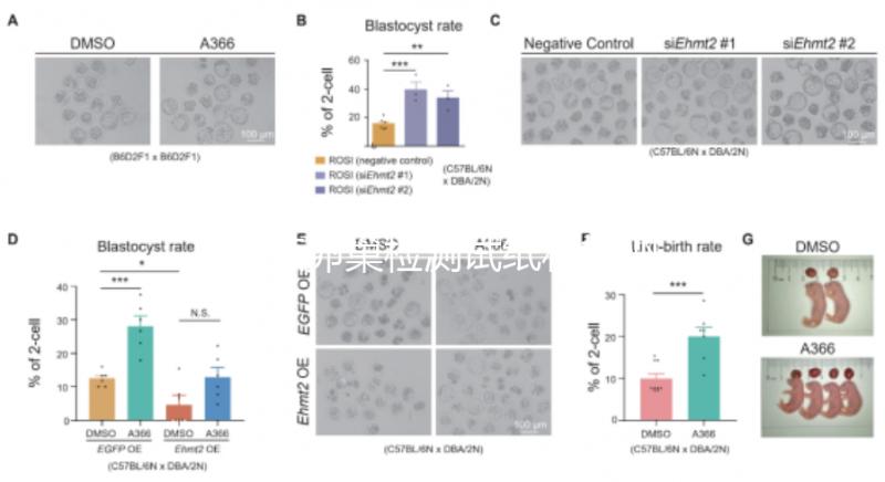 盤點卵巢檢測試紙和排卵試紙的區別，哪個更準確