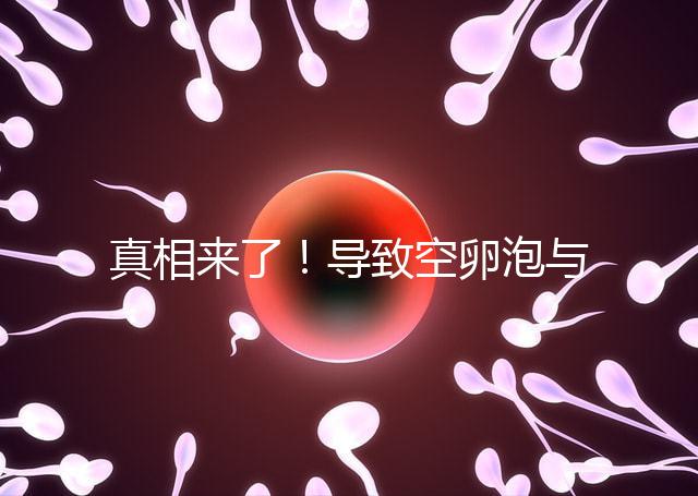 真相來了！導致空卵泡與多囊卵巢有關，區別在于以下四點，多研究