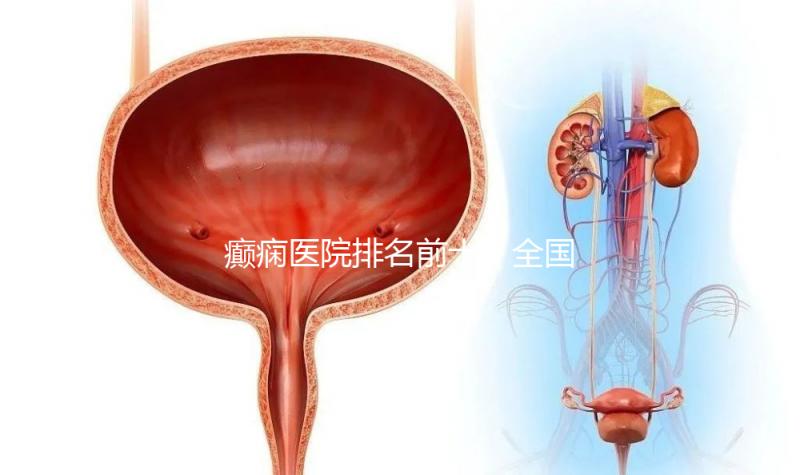 癲癇醫(yī)院排名前十(全國癲瘋病最好的醫(yī)院)