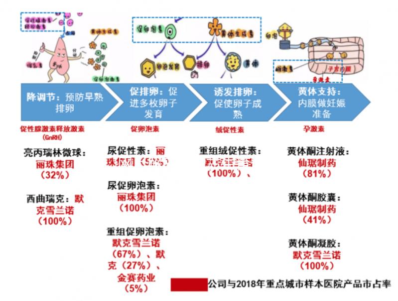 網上解密內蒙古生育登記要不要辦理，想造包頭怎么辦？