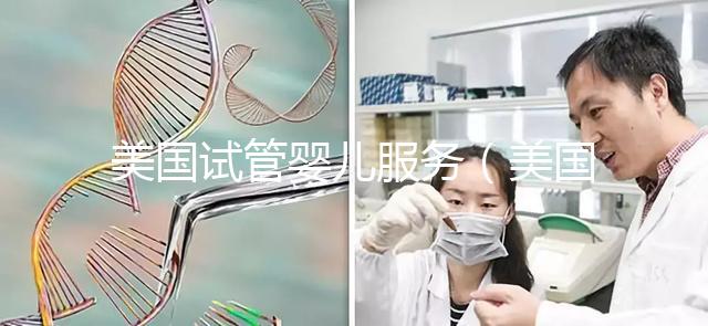 美國試管嬰兒服務（美國試管嬰兒服務套餐）