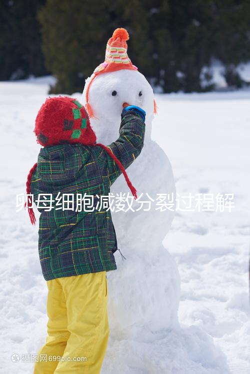 卵母細(xì)胞減數(shù)分裂過程解讀,從出生到成熟必經(jīng)這3個階段