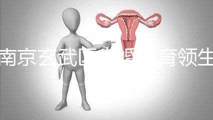 南京玄武區(qū)未婚生育領生育金看條件,社會撫養(yǎng)費交不了多少