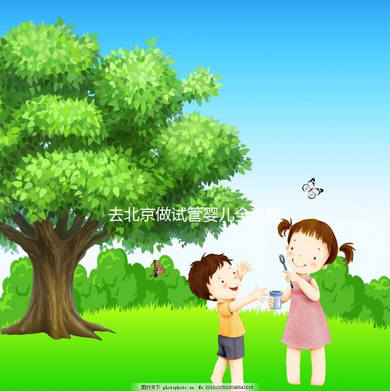 去北京做試管嬰兒全攻略：費用明細、醫院選擇及成功率分析