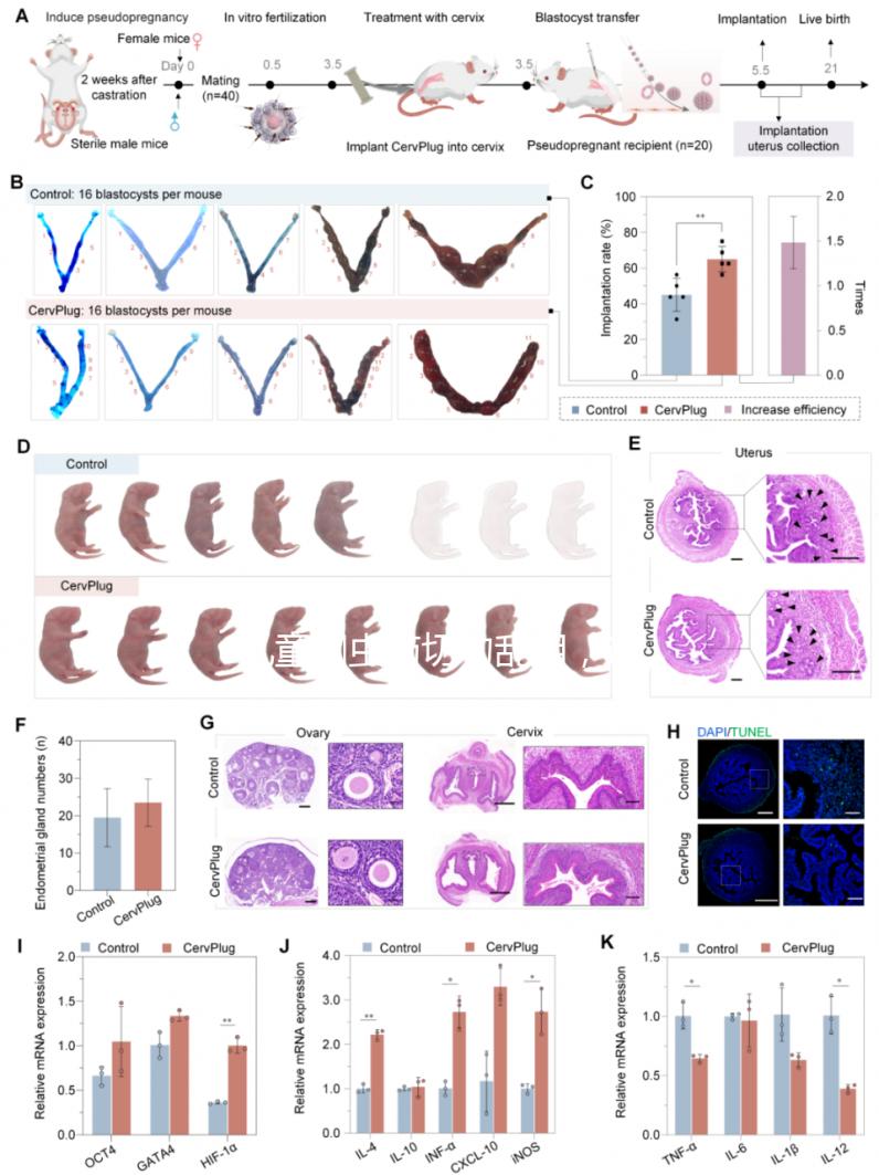 兒童蛔蟲藥切勿亂用，這樣吃才是正確的打開方式