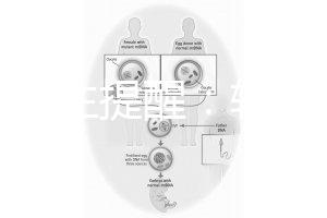 兒科醫(yī)生提醒：輪狀疫苗有不良反應(yīng)，輕微表現(xiàn)持續(xù)時間短