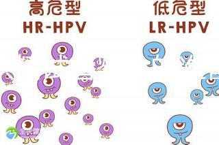 做供精試管嬰兒的準備(供精試管嬰兒大概需要多少錢)