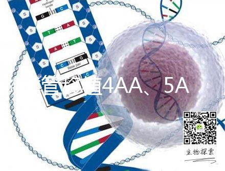 做試管移植4AA、5AA級別囊胚,寶寶出生后有什么不一樣嗎?