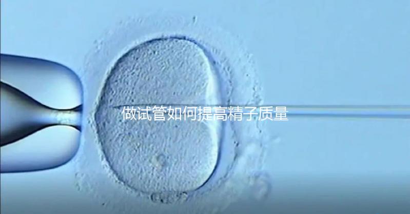 做試管如何提高精子質量？五星推薦4個簡單小運動