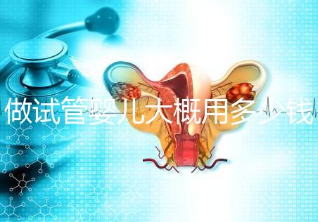 做試管嬰兒大概用多少錢，做試管嬰兒一般需要多少錢
