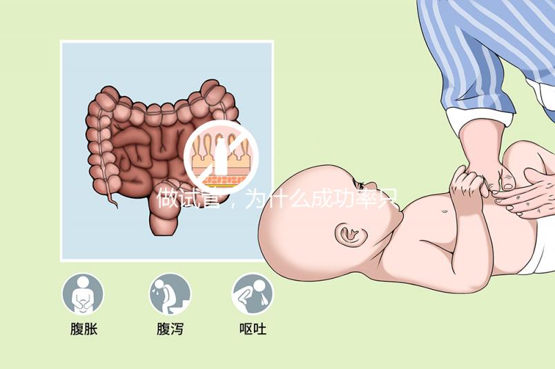 做試管,為什么成功率只有百分之二?