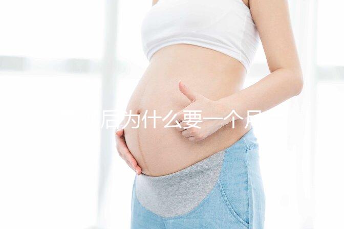 取卵后為什么要一個月后移植？深度解析與科學依據(jù)