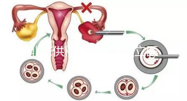 北京供精人工授精私立醫院排名表來了！哪個好看就知道了？