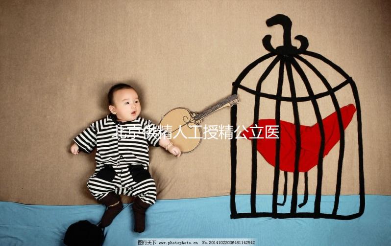 北京供精人工授精公立醫院一覽，內含排名榜單快收藏