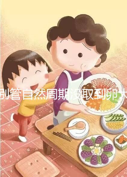 別管自然周期沒取到卵大夫當(dāng)時會不會說了，沒通知這么辦