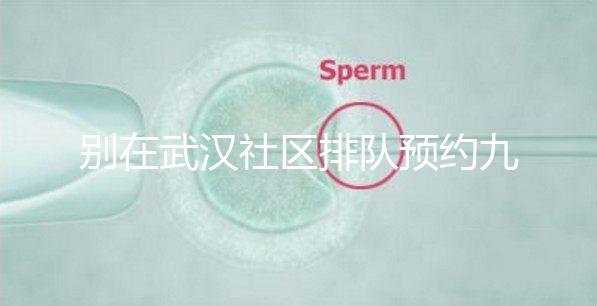 別在武漢社區(qū)排隊(duì)預(yù)約九價(jià)hpv疫苗了，在官方微信上也能搞定