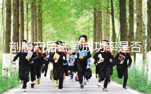 剖腹產(chǎn)后試管成功率是否很低？適當?shù)恼{(diào)理影響真的很小