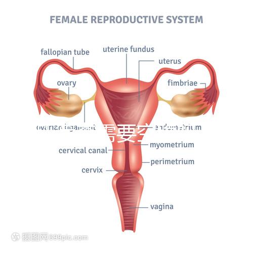唐氏篩查需要空腹嗎,無錫醫(yī)院單項(xiàng)費(fèi)用最低一百八十五