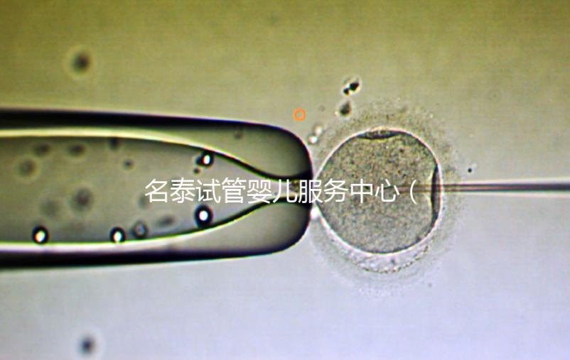 名泰試管嬰兒服務(wù)中心（名泰試管嬰兒服務(wù)中心怎么樣）