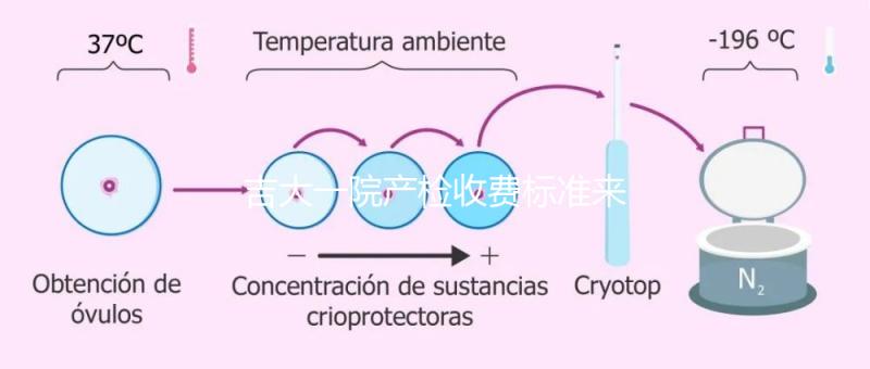 吉大一院產檢收費標準來了！免費項目和報銷比例一文說明