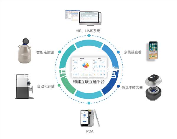 國內單身做個試管嬰兒費用大概要多少？