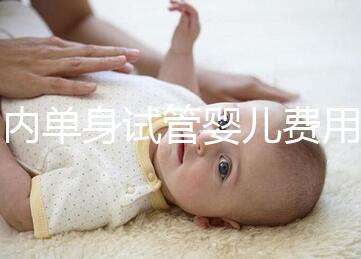 國內(nèi)單身試管嬰兒費用大概要多少錢一次？附費用明細！