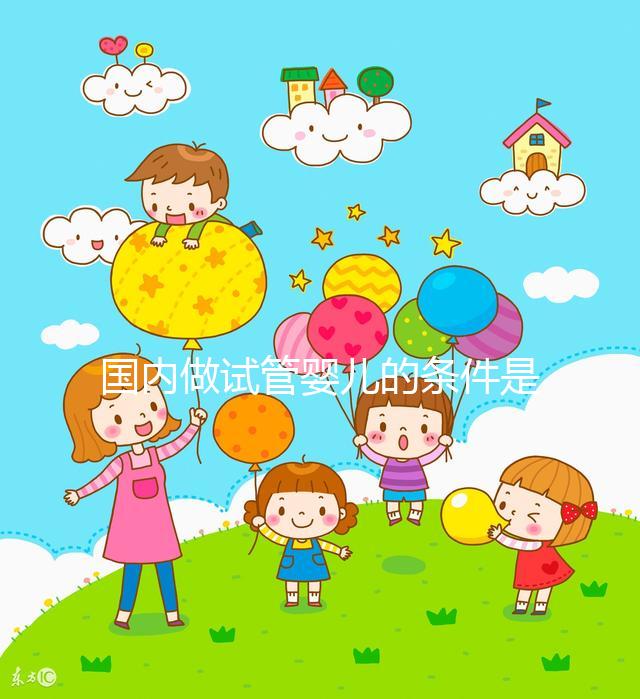 國內做試管嬰兒的條件是什么，有什么要求？