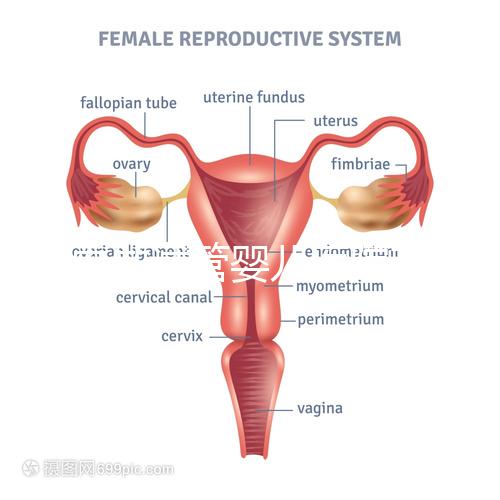 國內做試管嬰兒醫院有哪些？附全國十大試管醫院排名