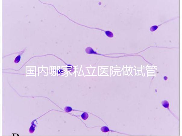 國內哪家私立醫院做試管嬰兒好？統計正規私立試管醫院排名