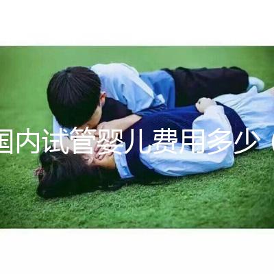國(guó)內(nèi)試管嬰兒費(fèi)用多少（國(guó)內(nèi)試管嬰兒費(fèi)用多少錢）