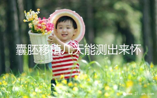 囊胚移植幾天能測(cè)出來(lái)懷孕？