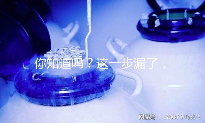 你知道嗎？這一步漏了，赴美國做試管嬰兒有簽證也走不了