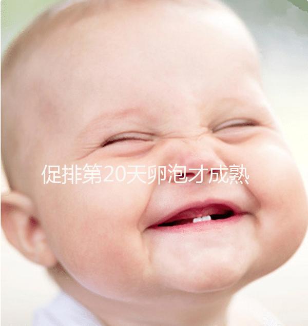 促排第20天卵泡才成熟真不會(huì)太晚,沒來(lái)月經(jīng)15X13都有希望