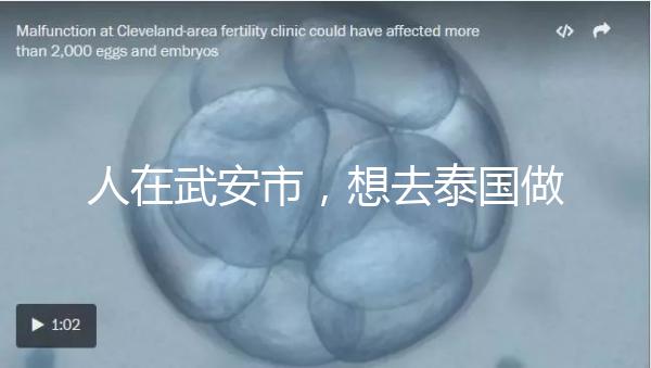 人在武安市，想去泰國做試管嬰兒生男孩要花多少錢？