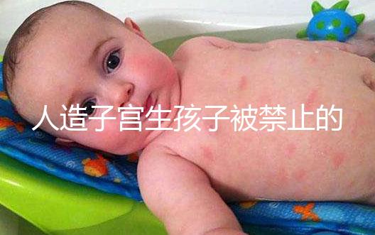 人造子宮生孩子被禁止的原因有三，會不會被允許未成定論