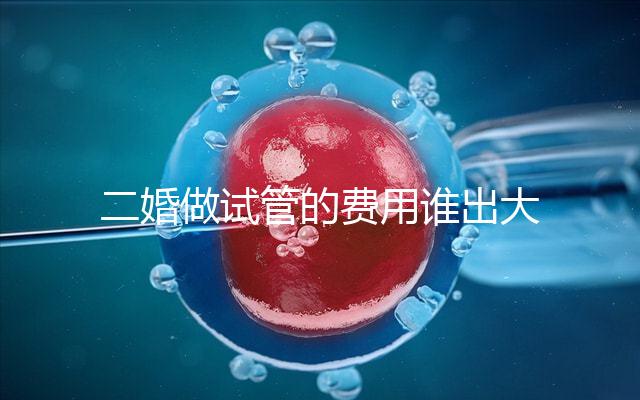 二婚做試管的費(fèi)用誰出大揭秘！總共要花多少錢清清楚楚！