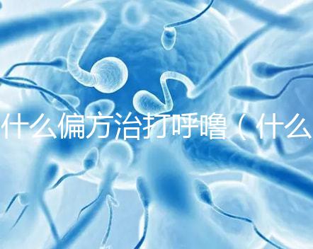 什么偏方治打呼嚕(什么偏方治打呼嚕效果最好)
