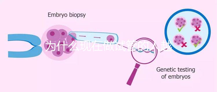 為什么現在做試管的人越來越多?解析背后的原因與趨勢!