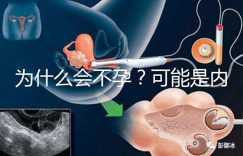 為什么會不孕？可能是內分泌失調在搗亂！