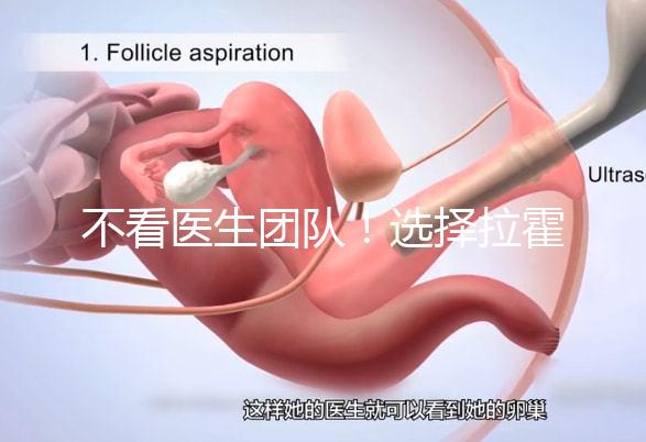 不看醫生團隊！選擇拉霍亞試管嬰兒中心的優勢還有這些