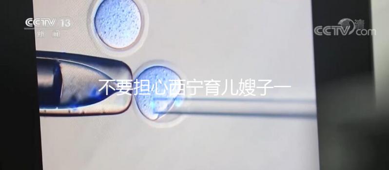 不要擔(dān)心西寧育兒嫂子一個月多少錢，關(guān)心機(jī)構(gòu)是否正式