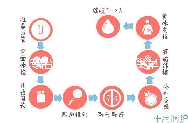 專治停經、絕經、卵巢早衰？利維愛的作用與適應癥分析